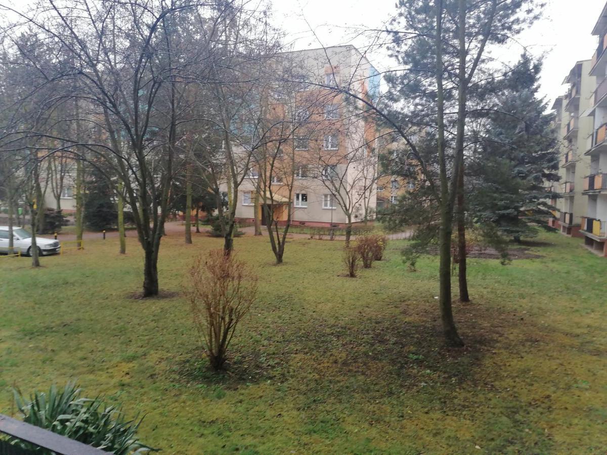 Apartament Terebelska P Biała Podlaska Exterior foto